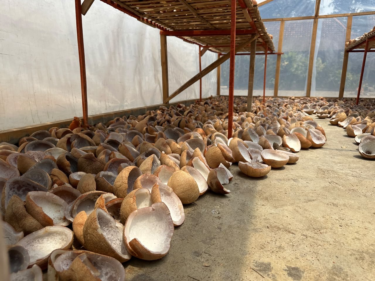 White Copra